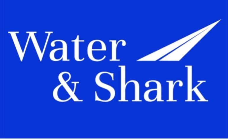 From Times Square to Global Boardrooms: Water and Shark Sets the Standard in Auditing and Consulting